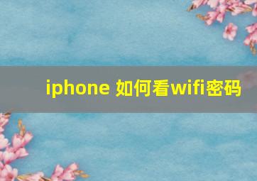 iphone 如何看wifi密码